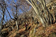 Sentiero partigiano 'Martiri della libert脿' Cornalba-Baita Cascinetto ad anello (21 genn. 2019)- FOTOGALLERY